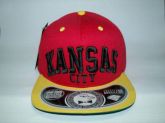 SNAP KANSAS